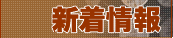 �E�C�X�L�[