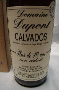 �f���|��OVER 40�N�n���@/�J�����@�h�X